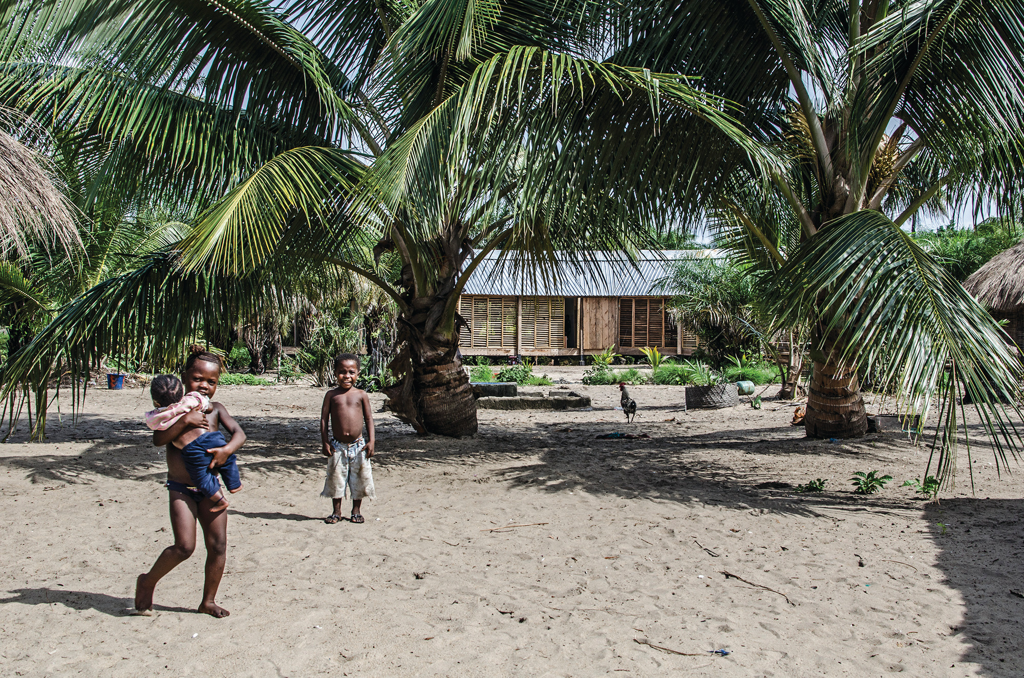 People stand among palms and sandy ground with a raised building in the background.