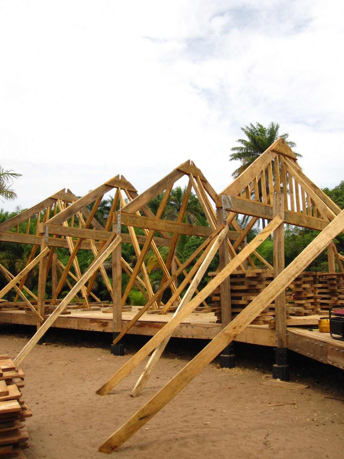 Repeated timber roof trusses rise above a platform with temporary diagonal supports.