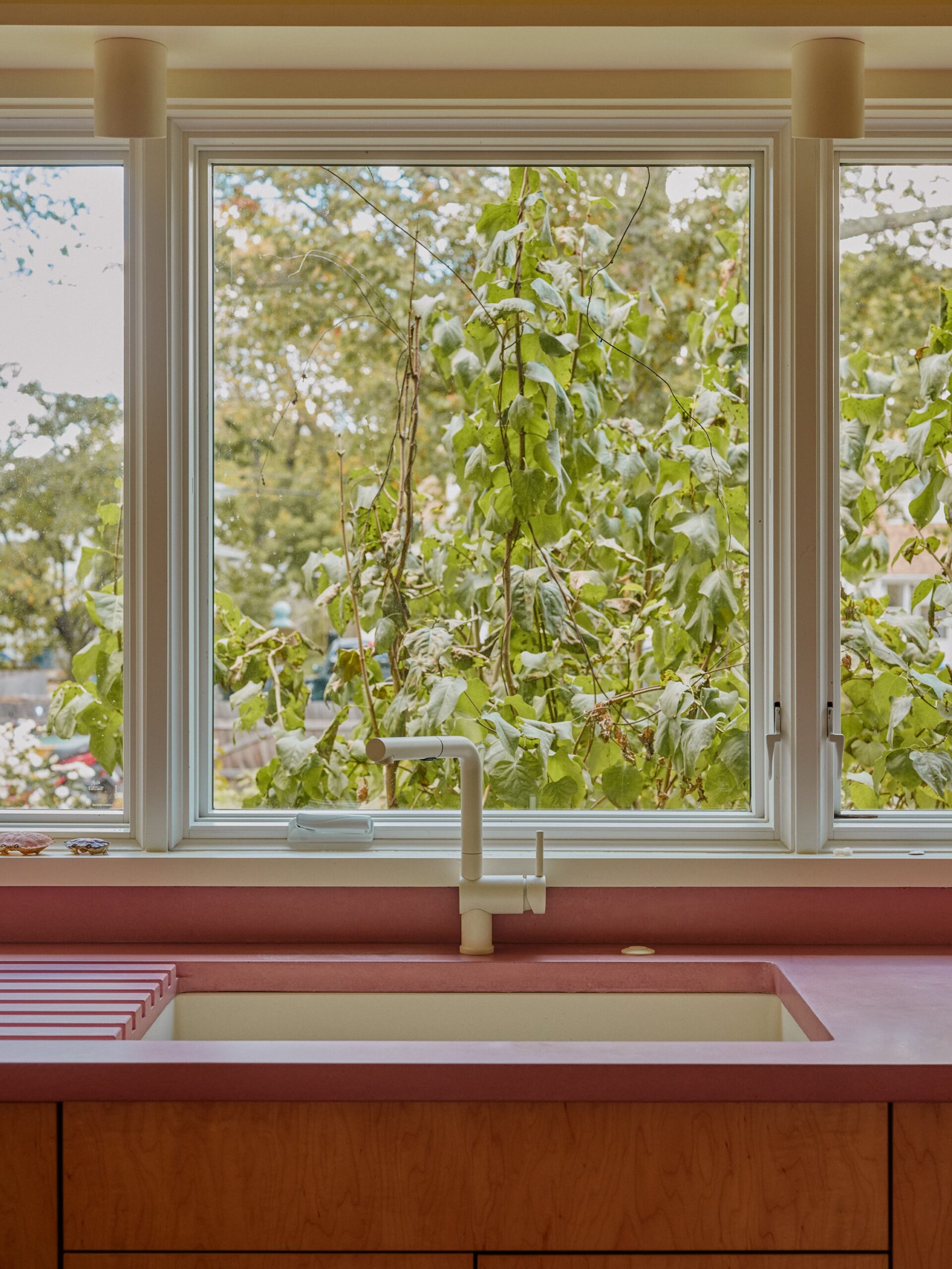 Sink in a muted red counter beneath windows overlooking trees.