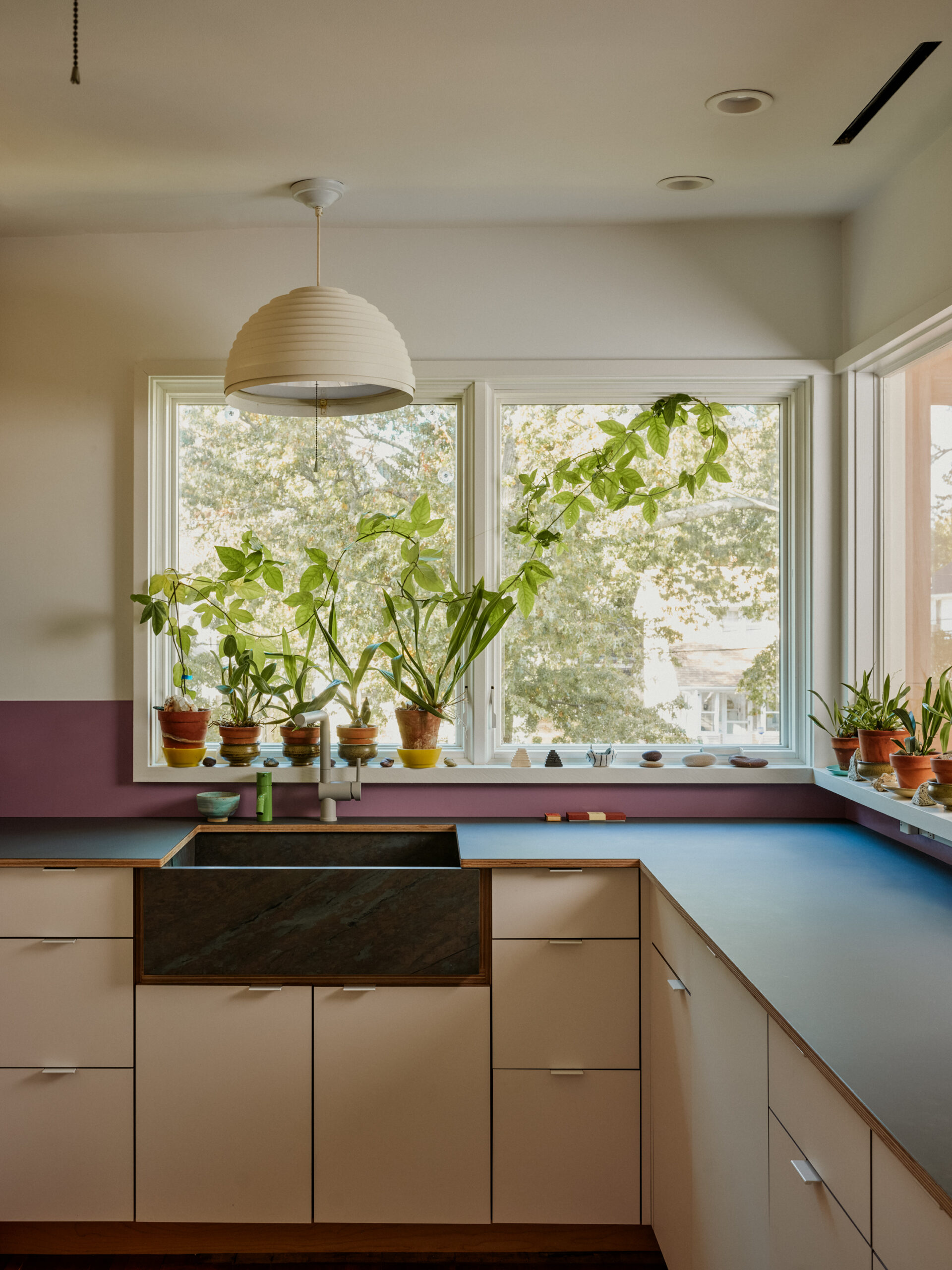Potted plants line corner windows above a blue kitchen counter and dark fronted sink.
